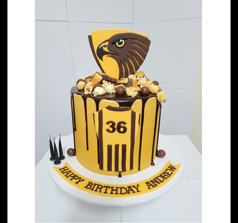 your_team_245_1085333880