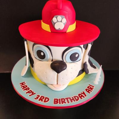 Childrens Birthday Cake 6