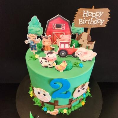 Childrens Birthday Cakes 47