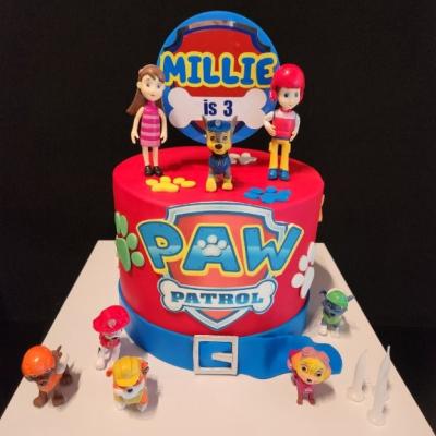 Childrens Birthday Cakes 43